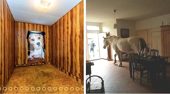 20 ужасных фотографий в объявлениях продажи недвижимости в Штатах (Часть 2)