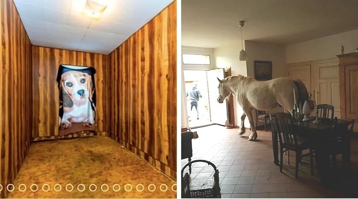 20 ужасных фотографий в объявлениях продажи недвижимости в Штатах (Часть 2)