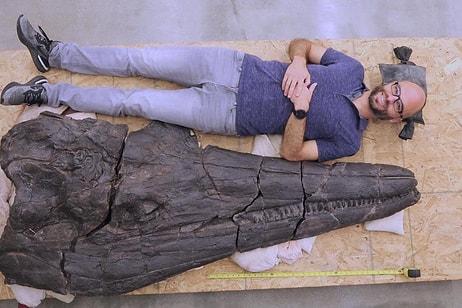 Sadece Kafatası İnsan Boyutunda: Olağanüstü Büyük 'Deniz Canavarı' Keşfedildi