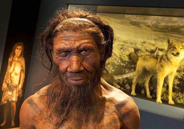 2. Neandertaller