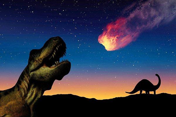66 milyon yıl önce gerçek olduklarına dahi inanamayacağımız boyutlarda bir hayvan olan dinozorlar, dev bir göktaşının dünyaya çarpması sonucunda yok olmuştu.
