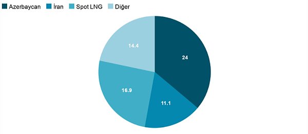 Türkiye'nin 2020'de ithal ettiği doğalgaz oranı