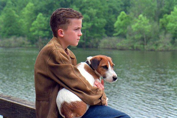 42. Köpeğim Skip (2000)