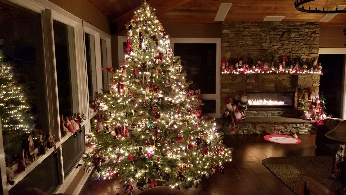 Τι απέγιναν τα εκατομμύρια πεύκα που στόλισαν τα σπίτια τα Χριστούγεννα;