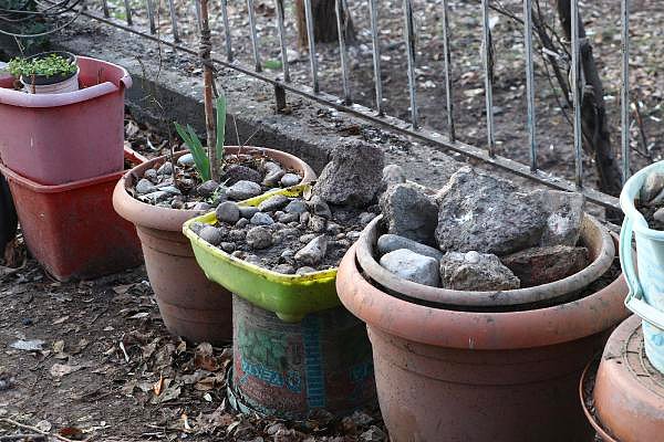 'Ölen kedi ve köpeklerim çok oluyor. Onları da bahçedeki saksılara gömüyorum'