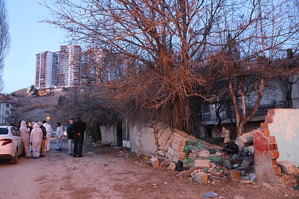 'Teyze ve hayvanlara elimizden geleni yapmaya çalışıyoruz'