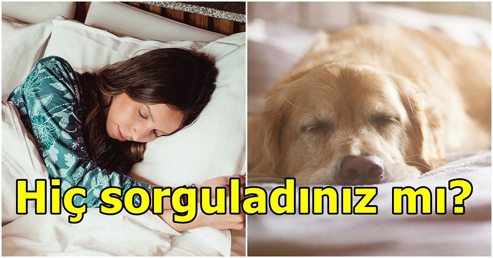 Akıllara Gelen Abuk Soruları Bilim Cevaplıyor: Neden Uyuruz?