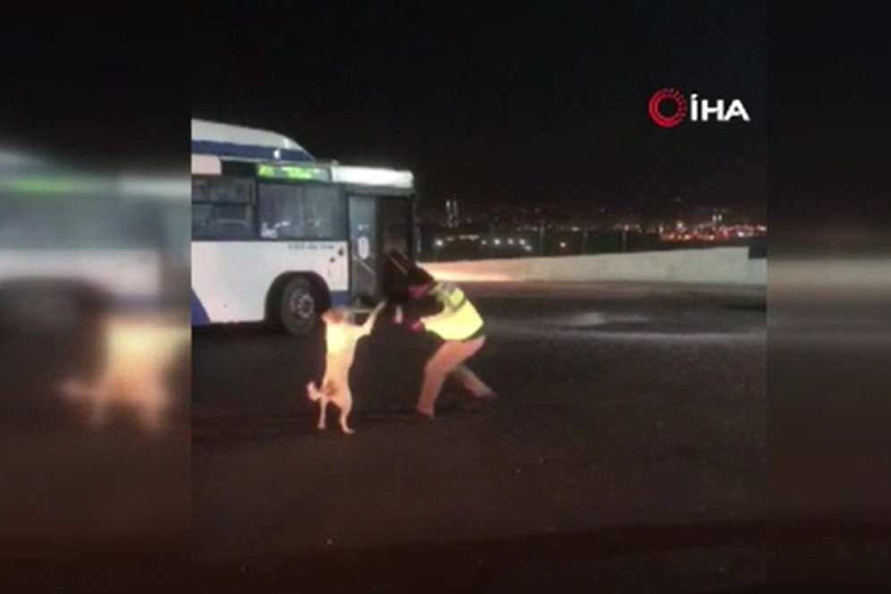 EGO Şoförünün Köpekle Yaşadığı Eğlenceli Anlar Böyle Kaydedildi