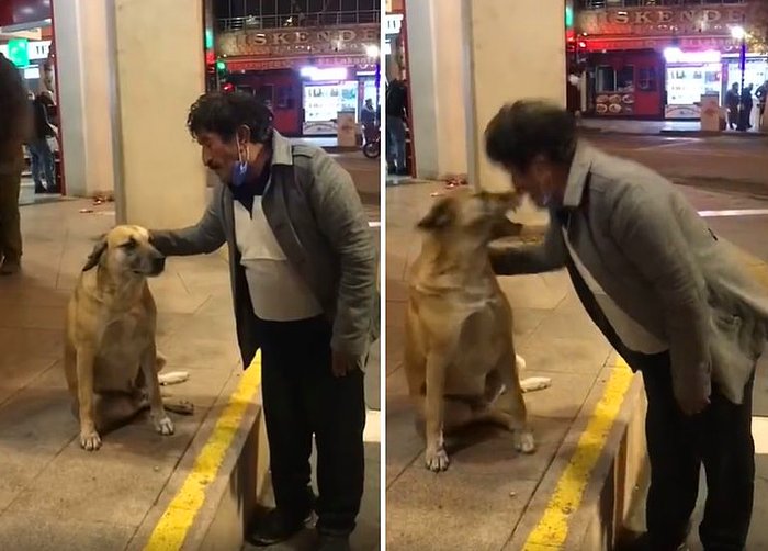 Sokak Köpeğine Uzun Hava Okuduktan Sonra Öpmek İsteyen Dayının Hayatının Şokunu Yaşadığı Anlar