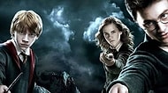 Harry Potter Aleminde Yaşasan Hangi Asa Seni Seçerdi?