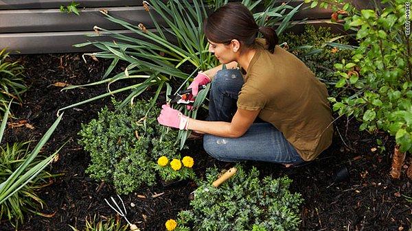 Küçük bir bahçe kurarak kendi ürünlerinizi yetiştirin. Bitki yetiştirmenin verdiği huzur ve mutluluğun yanında, toprakla uğraşmanın getirdiği pozitif ruh hali size iyi gelecek.