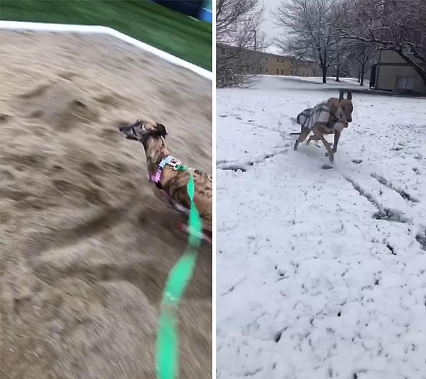 3. Внезапные гонки