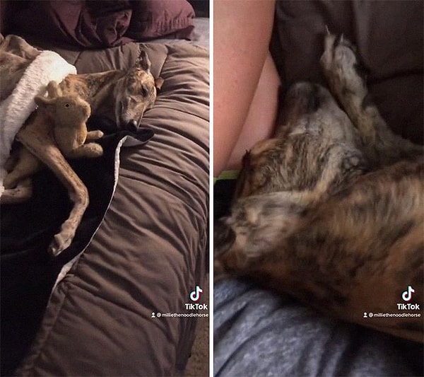 12. Спит с вами