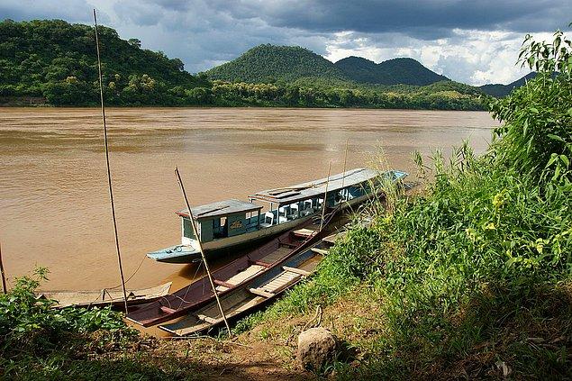 5. Mekong havzası yağmur ormanları.