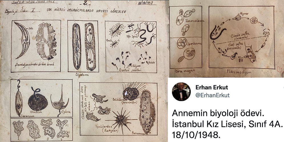 Eğitim Sistemimizin Yıllar Geçtikçe Nasıl Dibe Çöktüğünü Gösteren 74 Yıl Öncesine Ait Bir Lise Biyoloji Ödevi