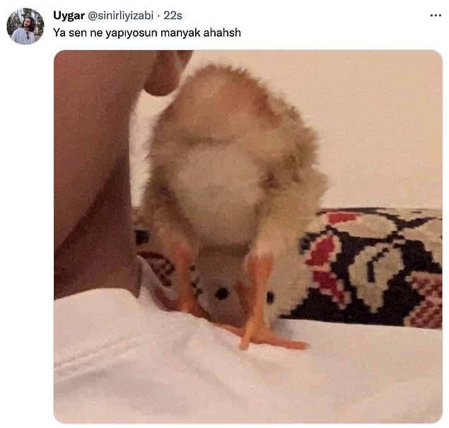 8. Bakış açını değiştir 🐣