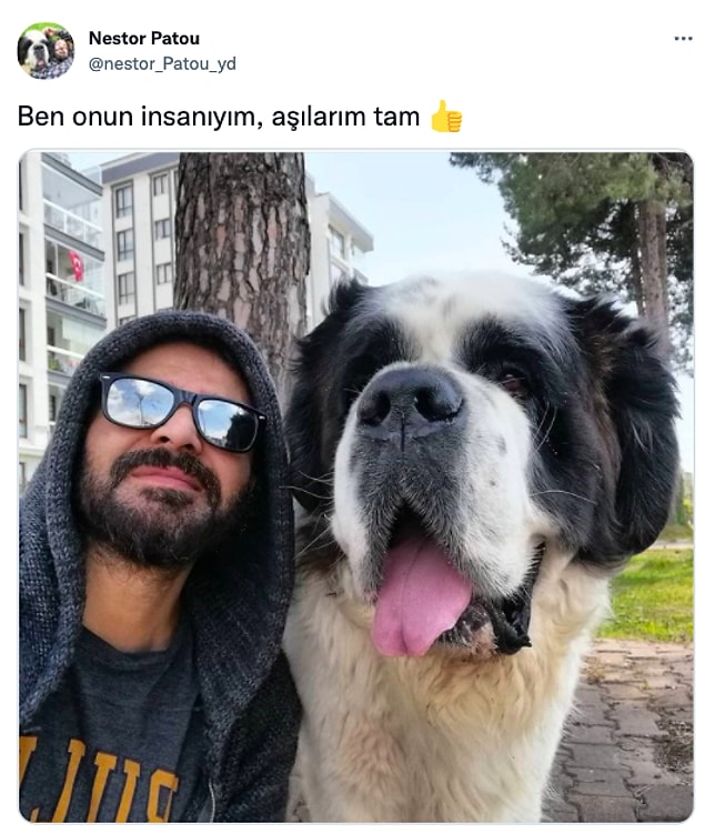 4. Günlük tatlı kotam bu tweetle birlikte maalesef ki doldu.😍