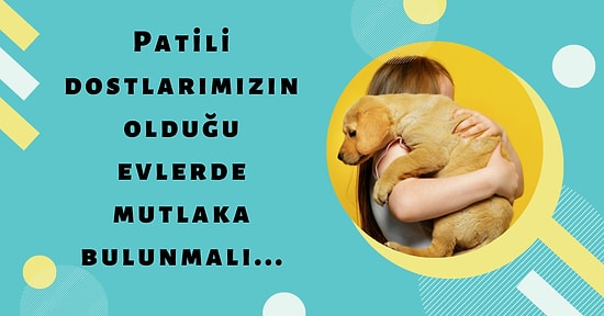 Kedilerin ve Köpeklerin İştahını Açacak Birbirinden Güzel Mama Kapları