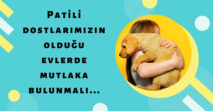 Kedilerin ve Köpeklerin İştahını Açacak Birbirinden Güzel Mama Kapları