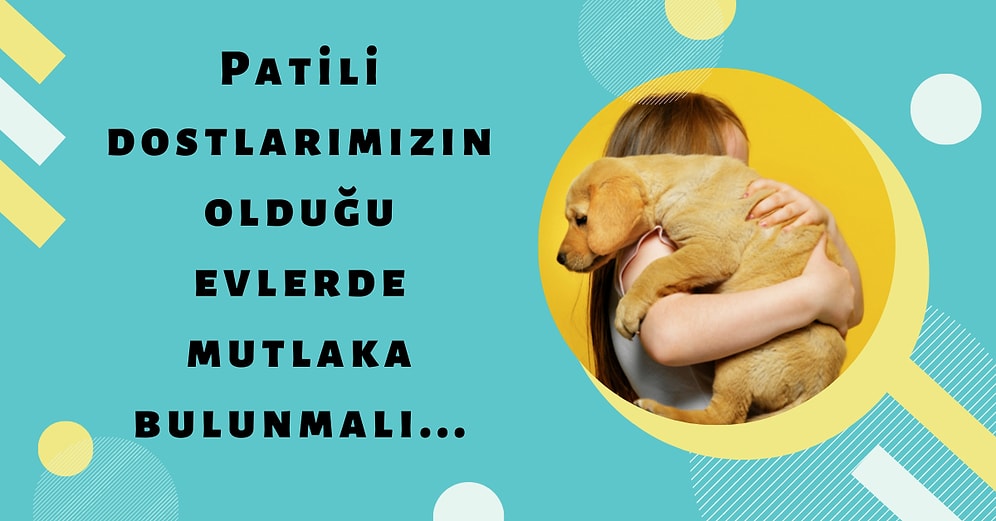 Kedilerin ve Köpeklerin İştahını Açacak Birbirinden Güzel Mama Kapları