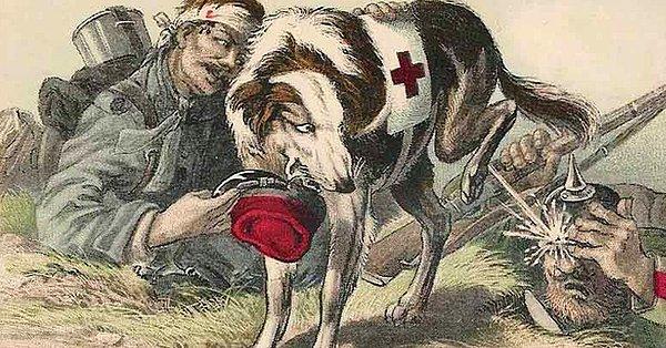 Birinci Dünya Savaşı patlak verdiğinde İngiltere, Fransa ve Almanya'dan köpekler cepheye gönderildi.