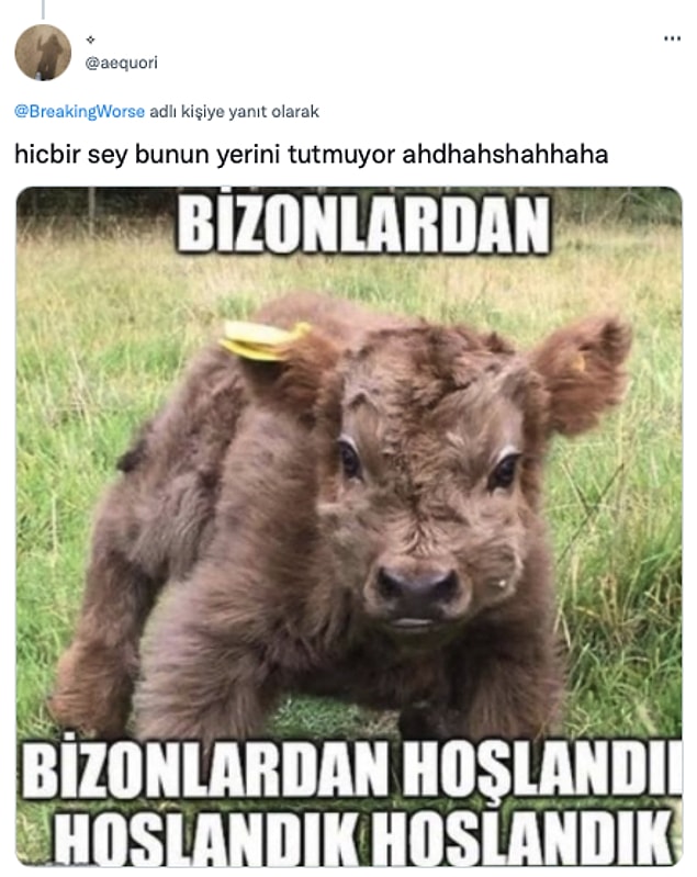 11. 'Şimdi niye zorlandık?'