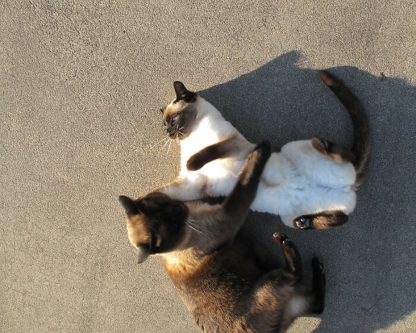 3. Бесит то, что все основные вопросы можно решить простым разговором, а вместо этого мы получаем: «Нет, у меня нет времени объяснять», что приводит к нагнетанию конфликта из-за непонимания