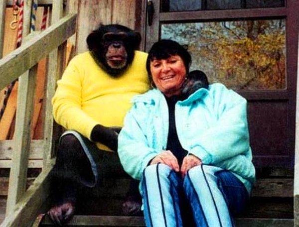 Sandra Herold isimli bir kadının 14 yıldır çocuğu gibi besleyip büyüttüğü bir evcil hayvanı vardı: Maymun Travis.