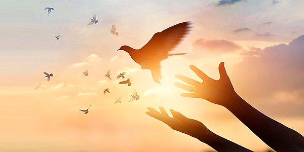 Nil Keskin Keleş Yazio: Affetmenin 7 Adımı
