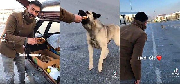 Simitle Beslediği Sokak Köpeğiyle İngilizce Konuşan Adamın Viral Olan Videosu