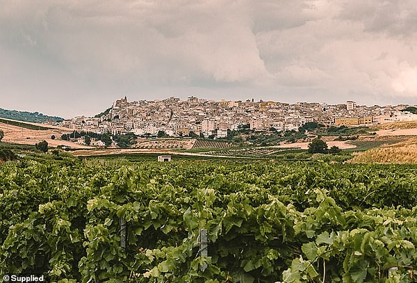 Самбука — это небольшая провинциальная деревня в сельской местности Сицилии с растущим сообществом, насчитывающим около 6000 человек, известным своими традиционными винами, оливковым маслом, овечьей рикоттой и сырами.