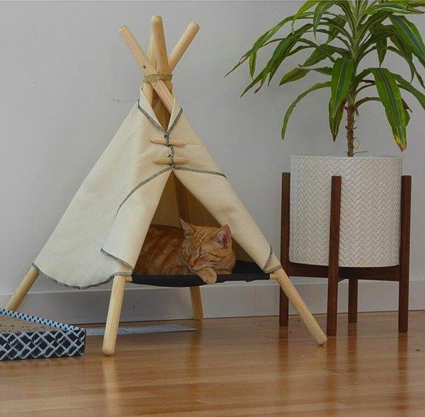 5. Ahşap ağırlıklı bir ev dekorasyonunuz varsa bu kedi çadırı evinize de çok yakışacak.