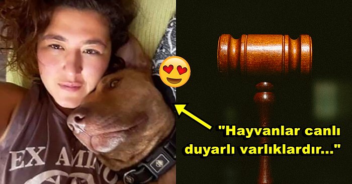 Dünyada Bir İlk: İspanya'daki Velayet Davası Kararı Evcil Hayvan Tuco'nun Duyguları Dikkate Alınarak Verildi!