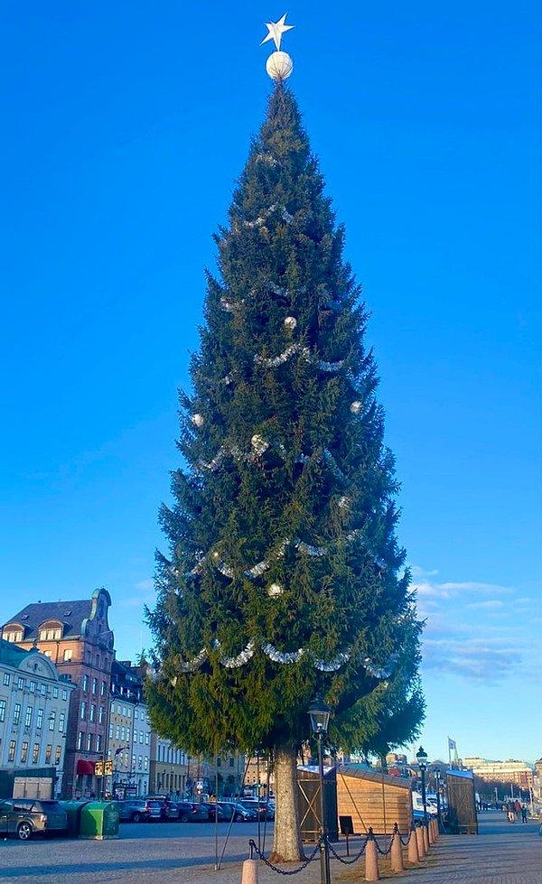 14. Dünyanın en uzun noel ağaçlarından biri de İsveç'te. Tamı tamına 35 metre!