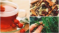 Günlük Rutinine Göre Sana İyi Gelecek Doğal Çayı ve Baharatı Söylüyoruz!