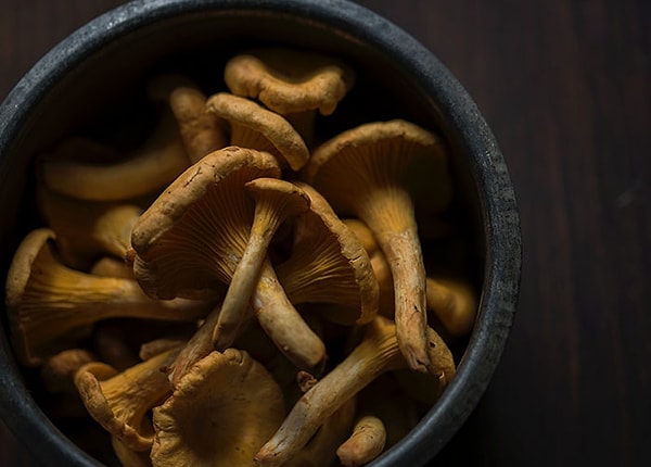 13. Я слышал, что никогда не нужно мыть грибы в воде, а вместо этого вытирать грязь. Я также знаю, что грибы выращивают на фекалиях животных… Я всегда мою грибы