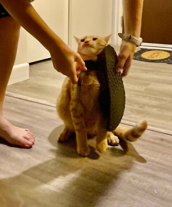 15. Застрял в тапочке