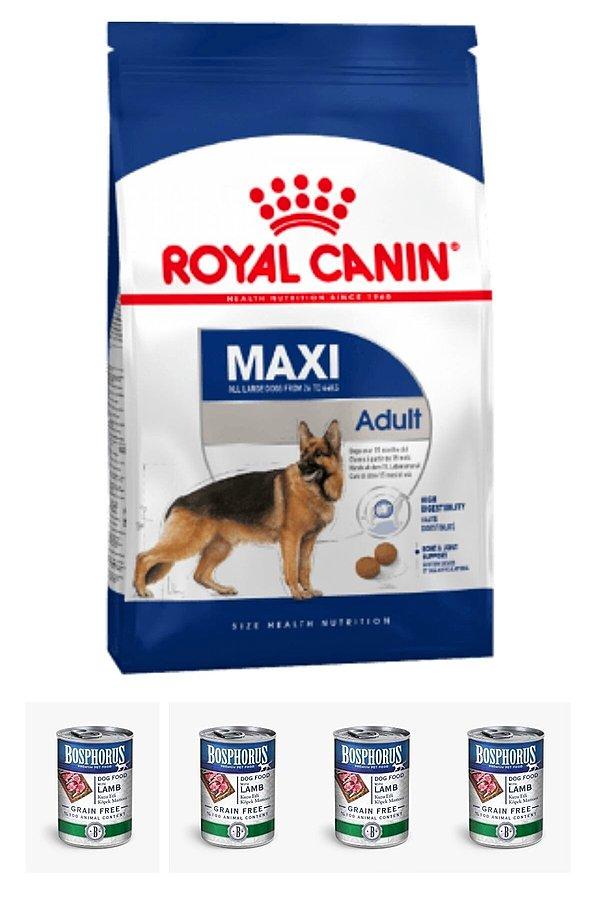 1. Royal Canin tahılsız yetişkin büyük ırk köpek maması