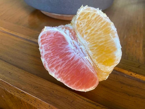 16. Кажется это гибрид грейпфрута и апельсина