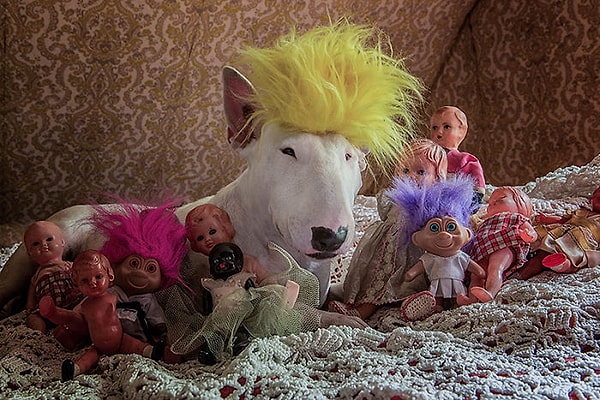 5. Не кормите троллей