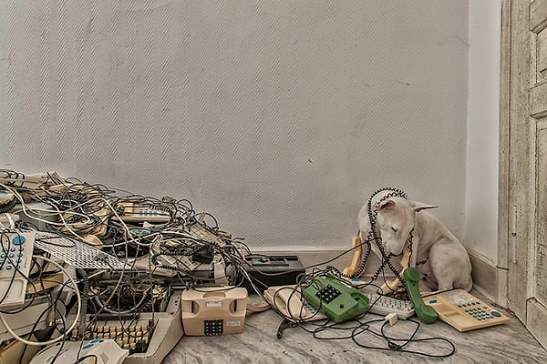 11. Кол центр