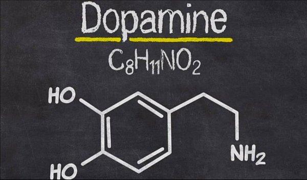 Zevk molekülü olarak da bilinen dopamin, hareket, motivasyon, ruh hali ve dikkat süresi de dahil olmak üzere birçok vücut fonksiyonunda rol oynuyor.
