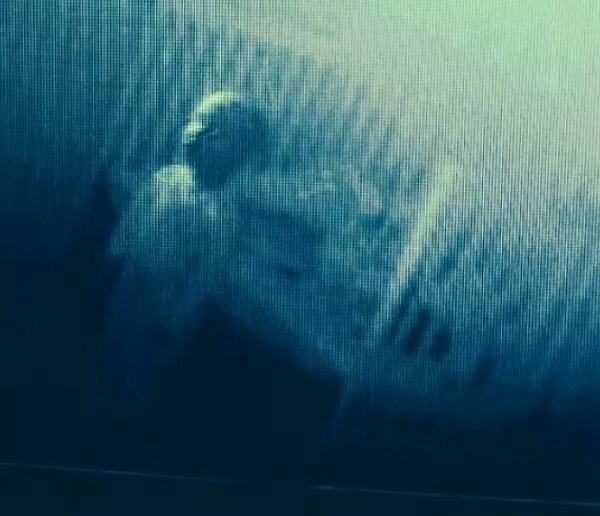 7. Моя жена услышала, как ее имя шептали «Наа-Таа-Шаа..» Она посмотрела на радионяню, чтобы найти нашего сына таким