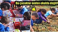Bir Nesli Kaybediyoruz! Türkiye'de Geçen Sene 155 Bin 938 Öğrenci Okulu Bırakmak Zorunda Kaldı