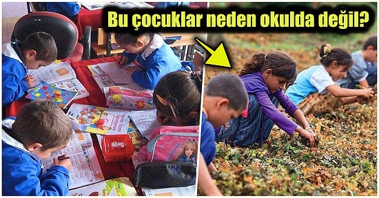 Bir Nesli Kaybediyoruz! Türkiye'de Geçen Sene 155 Bin 938 Öğrenci Okulu Bırakmak Zorunda Kaldı