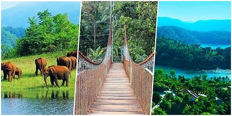 Hindistan’ın Doğal Güzellikleriyle İnsanı Mest Eden Eyaleti: Kerala