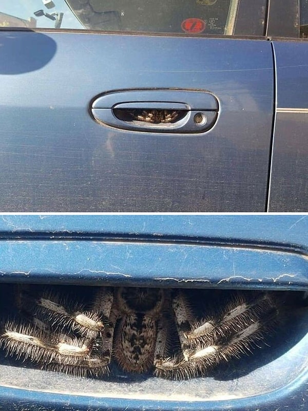 3. Теперь это его машина