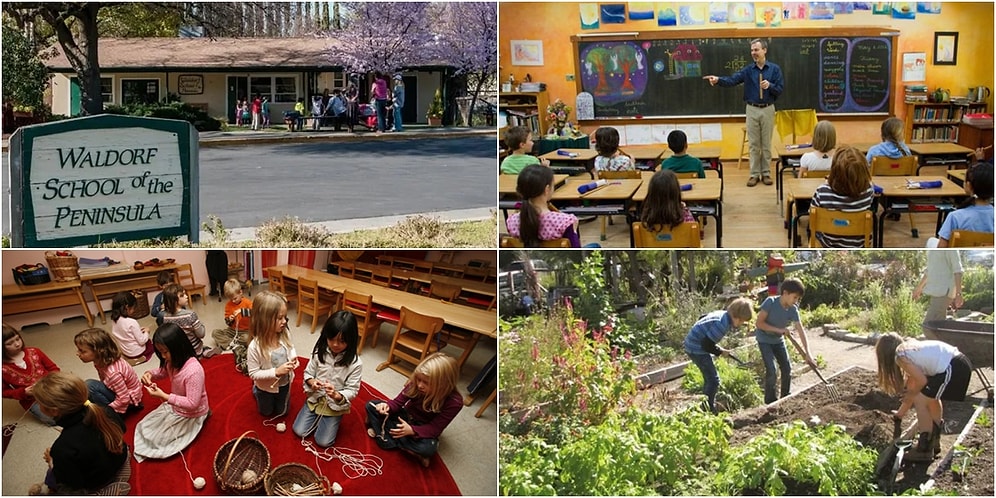 Seda Yekeler Yazio: Neden Ultra Zenginlerin Çocukları Bu Okullarda?