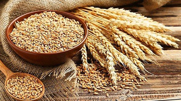 Buğday ithalatçılarının başında Türkiye var