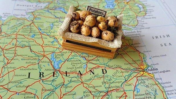 Tanıtılmasının ardından patates İrlanda topraklarında o kadar çok sevildi ki, 17. yüzyılda İrlanda'da patates altın çağlarını yaşadı. Hatta 19. yüzyıl İrlanda ekonomisi tamamen patatese bağımlı hale geldi!
